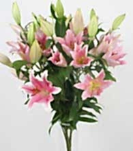 Ankara Bat�kent �i�ek�i firmas� �r�n�m�z 3 dal kazablanka buketi