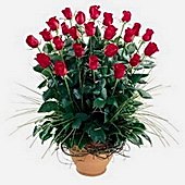 Ankara �entepe �i�ek�i firma �r�n�m�z E�siz ve harukulade g�ller Ankara �i�ek g�nder firmas� �ahane �r�n�m�z