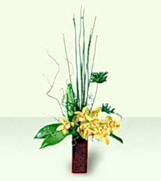 1 dal kesme orkide �i�e�i arajman� Ben farkl� bir �r�n g�ndermek istiyorum diyor iseniz