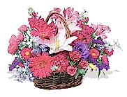 Ankara �i�ek�i d�kan� en �ok sat�lan �r�n�m�z k�r �i�e�i sepeti Ankara �i�ek g�nder firmas� �ahane �r�n�m�z