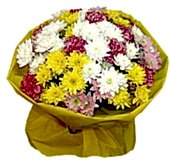 taze k�r �i�ekleri buketi �i�e�i Ankara �i�ek�i yolla d�kkan�m�zdan