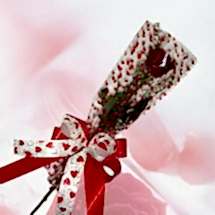 Ostim ve Ankara i�in g�rsel bir tanzim masumane tek k�zm�z� g�l