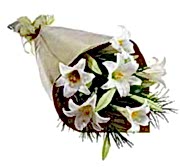 Ankara �i�ek yolla firma �r�n�m�z 3 dal �zel kazablanka buketi