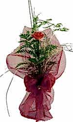 Ben farkl� bir �r�n g�ndermek istiyorum diyor iseniz 1 adet g�l sade e�siz buket