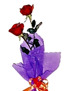 Ankara �entepe �i�ek�i firma �r�n�m�z sade sen ve o 2 g�l buketi