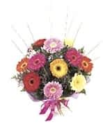 Ankara Ostim �i�ek g�nderimi firmas� �r�n�m�z  m�thi� kar���k gerbera mevsim �i�ek buketi