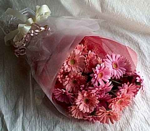 Ankara �i�ek g�nderimi site �r�n�m�z 13 adet gerbera �i�ek buketi