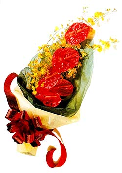 Ankara �i�ek yolla d�kkan�m�zdan 5 adet antorium buketi