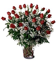 Ankara ostim �i�ek sipari�i firma �r�n�m�z cam vazoda g�ller Ankara �i�ek g�nder firmas� �ahane �r�n�m�z