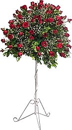 mevsimsel perf�rje �i�e�i Ankara �i�ek sat��� firma �r�n�m�z