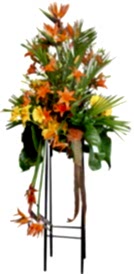 ferf�rje perf�rje d���n nikah a��l�� �i�ekleri Ankara �i�ek sat��� site �r�n�m�z 