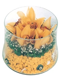 Ankara �i�ek�ilik g�rsel �i�ek modeli firmam�zdan vazo i�erisinde 5 adet kandil orkide