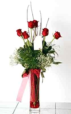 Kaliteli ve fiyat� ucuz bir �r�n Cam i�inde 6 g�l Ankara �i�ek g�nder firmas� �ahane �r�n�m�z