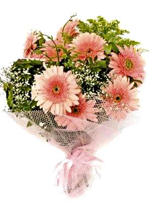 Ankara Bat�kent �i�ek�i firmas� �r�n�m�z taze k�r �i�ekleri gerbera demeti