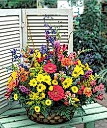 Kaliteli ve fiyat� ucuz bir �r�n �zel Kar���k mevsim sepeti �i�e�i Ankara �i�ek g�nder firmas� �ahane �r�n�m�z