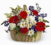 Ankara �i�ek g�nder firmam�zdan g�rsel �r�n G�rsel Kar���k mevsim sepeti �i�e�i Ankara �i�ek g�nder firmas� �ahane �r�n�m�z