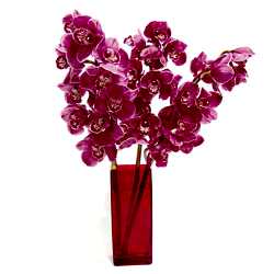 Ankara �i�ek�i d�kan� en �ok sat�lan �r�n�m�z cam i�erisinde 3 dal kesme orkide �i�e�i