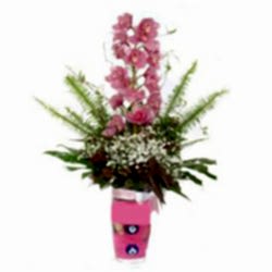 Sizlere �zel farkl� bir tanzim modeli cam i�erisinde tek dal kesme orkide �i�e�i