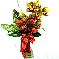 Ankara �i�ek g�nderme firmam�zdan size �zel cam i�erisinde tek dal kesme orkide �i�e�i