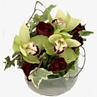 Ankara Yenimahalle �i�ek�i firma �r�n�m�z cam i�erisinde 3 kandil kesme orkide �i�e�i