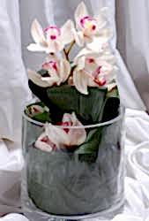 vazo i�erisinde tek dal orkide �i�e�i Ankara ostim �i�ek�ilik firmas� �r�n�m�z