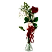 Kaliteli ve fiyat� ucuz bir �r�n Cam i�inde masum tek g�l Ankara �i�ek g�nder firmas� �ahane �r�n�m�z