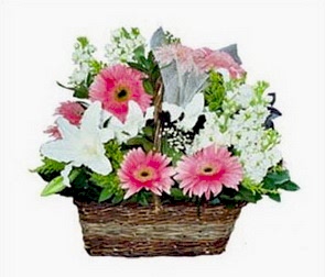 Ankara �i�ek g�nder firmam�zdan g�rsel �r�n kar���k mevsim �i�ek sepeti Ankara �i�ek g�nder firmas� �ahane �r�n�m�z