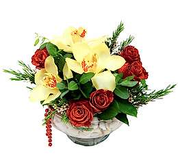 camda 5 adet g�l ve 3 adet kandil orkide Ankara Ostim �i�ek g�nderimi firmas� �r�n�m�z 