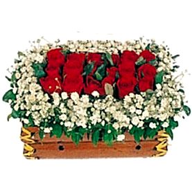 Ankara �entepe �i�ek�i firma �r�n�m�z s�ral� onbir adet k�rm�z� g�l Ankara �i�ek g�nder firmas� �ahane �r�n�m�z