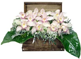sand�k i�erisinde 1 dal kesme orkide �i�e�i Ankara �i�ek�ilik g�rsel �i�ek modeli firmam�zdan