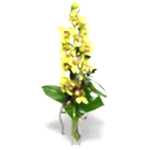 Ankara �i�ek�ilik g�rsel �i�ek modeli firmam�zdan tek dal vazoda kesme orkide �i�e�i