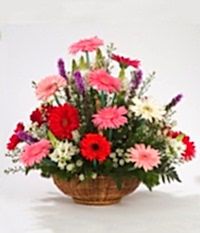 Ankara Yenimahalle �i�ek�i firma �r�n�m�z Kar���k Gerbera mevsim sepeti �i�e�i Ankara �i�ek g�nder firmas� �ahane �r�n�m�z