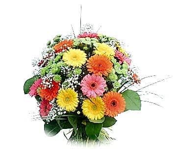 Ankara Demetevler �i�ek�i firma �r�n�m�z kar���k gerbera mevsim �i�ek buketi