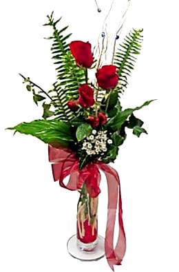 Ankara �i�ek yolla d�kkan�m�zdan sadece etkileme g�lleri Ankara �i�ek g�nder firmas� �ahane �r�n�m�z