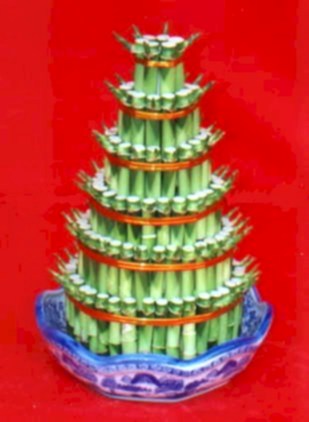 Ankara ostim �i�ek sipari�i firma �r�n�m�z Lucky Bamboo �ans mele�i �i�e�i bambu �i�e�i