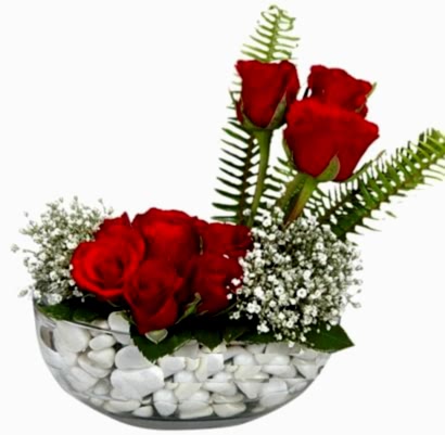 Ankara Etimesgut �i�ek�i firma �r�n�m�z Cam i�inde 11 g�l Ankara �i�ek g�nder firmas� �ahane �r�n�m�z