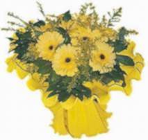 14 �ubat sevgililer g�n� firmam�zdan taze gerbera k�r �i�ekleri demeti