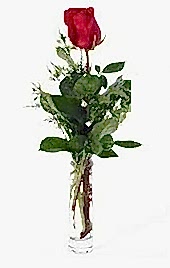 K�z Arkada��ma Hediye Vazo i�erisinde 1 adet kirmizi g�l