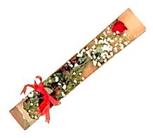 1 adet kirmizi g�l