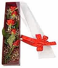 kutu i�inde 5 adet kirmizi g�l