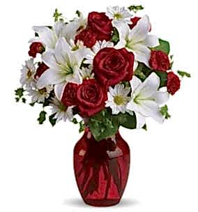 k�r �i�ekleri 7 k�rm�z� g�l ve 3 dal kazablanka