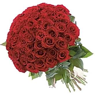 101 adet k�rm�z� g�l buketi modeli