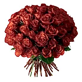 33 adet k�rm�z� g�l buketi