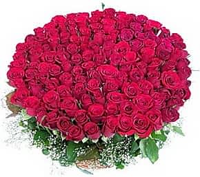 100 adet k�rm�z� g�lden g�rsel buket