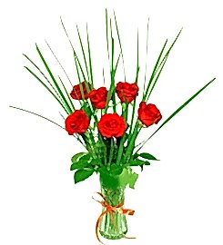 6 adet k�rm�z� g�llerden vazo �i�e�i