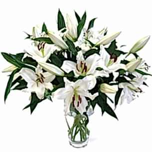 Ankara �i�ek�i telefonlar� 4 dal g�rsel casablanca vazo tanzimi