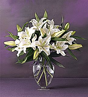 Ankara �i�ek g�nderme 5 dal cazablanca vazo �i�e�i