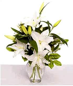 Ankara �i�ek g�nderme 4 dal cazablanca vazo �i�e�i