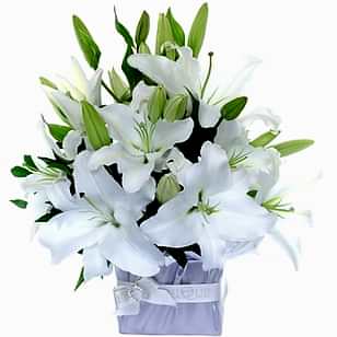 Ankara �i�ek yolla 4 dal cazablanca vazo �i�e�i