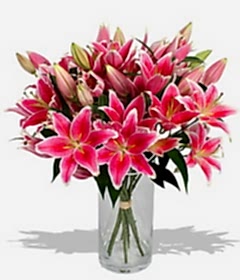 5 dal cazablanca g�rsel vazosu